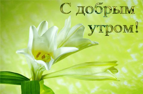 http://cs4476.vkontakte.ru/u132014403/-5/x_678880d3.jpg